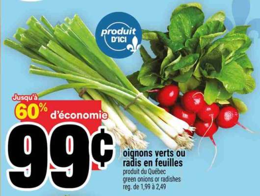 oignons verts ou radis en feuilles