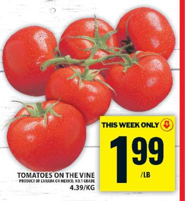 TOMATOES ON THE VINE