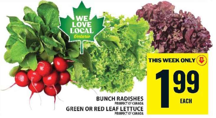 Bunch Radishes or Green/Red Leaf Lettuce