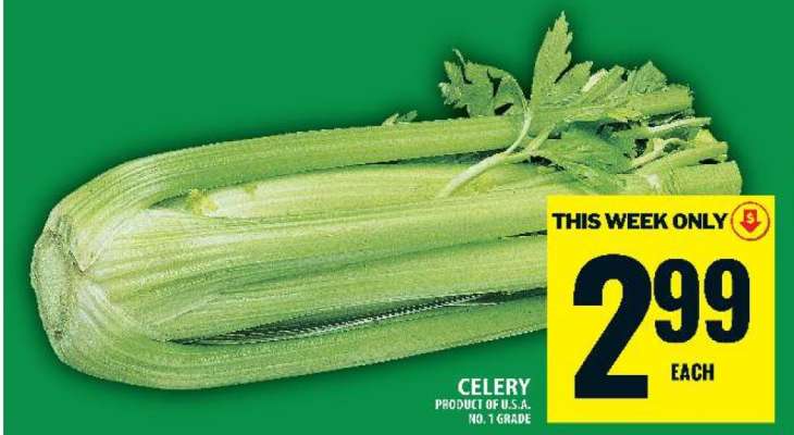 CELERY