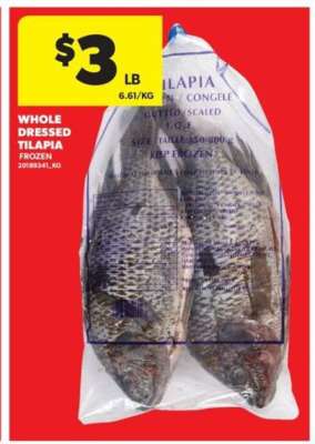 WHOLE DRESSED TILAPIA