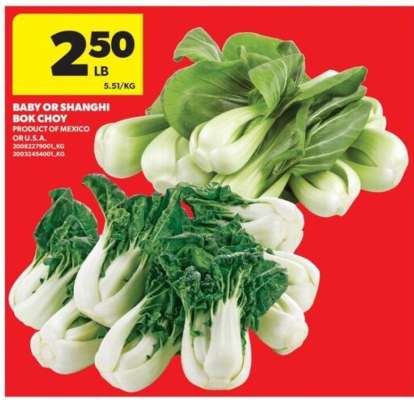 BABY OR SHANGHAI BOK CHOY