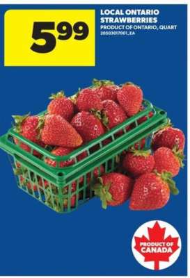 LOCAL ONTARIO STRAWBERRIES