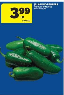 JALAPEÑO PEPPERS