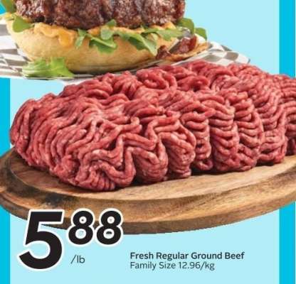 Fresh Regular Ground Beef
