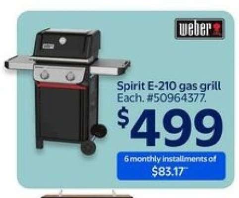 Spirit E-210 gas grill
