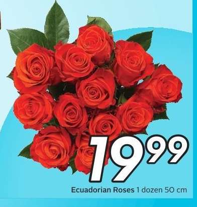 Ecuadorian Roses