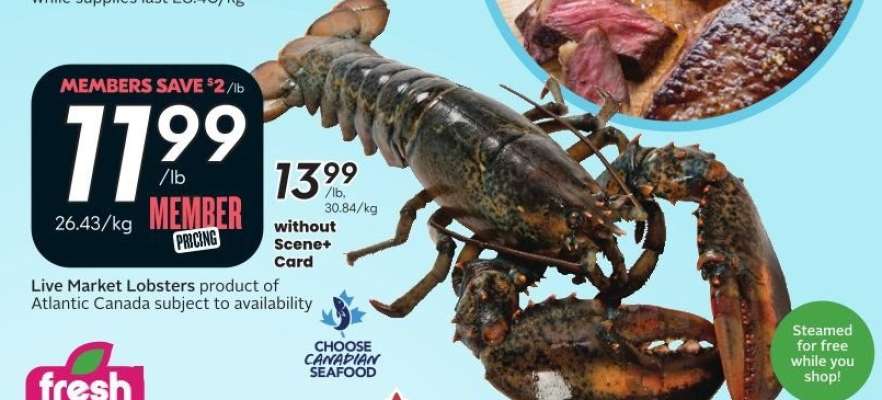 Live Market Lobsters