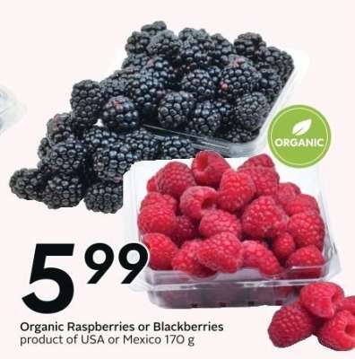 Organic Raspberries or Blackberries