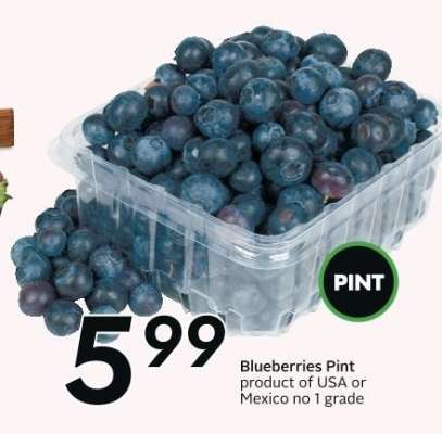 BLUEBERRIES, PINT