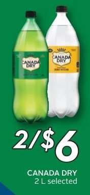 CANADA DRY 2L