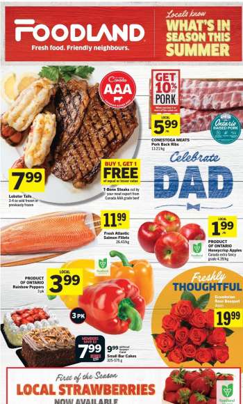 thumbnail - Foodland flyer