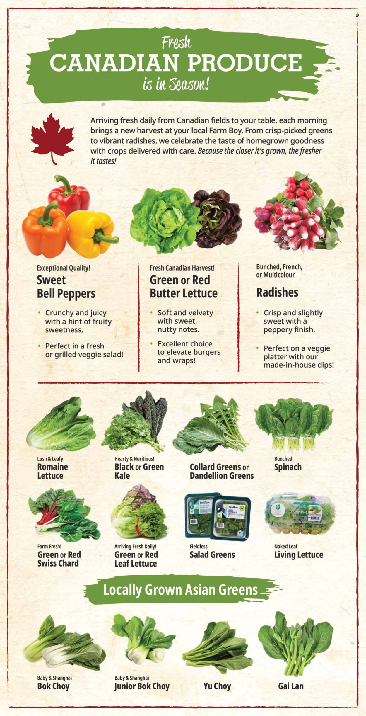 Farm Boy flyer - June 18, 2026 - June 24, 2026. Page 9