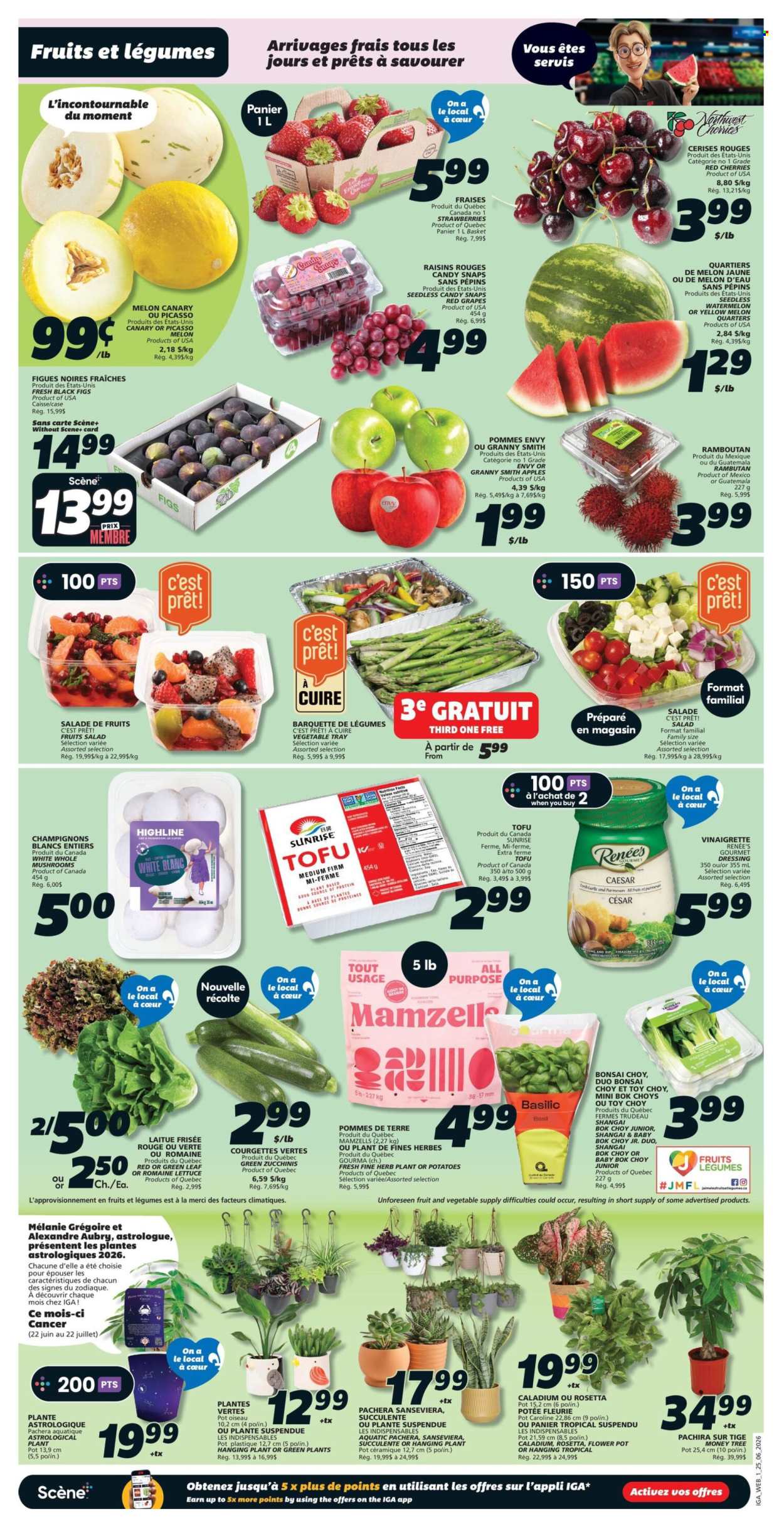 IGA flyer - June 25, 2026 - July 01, 2026. Page 3