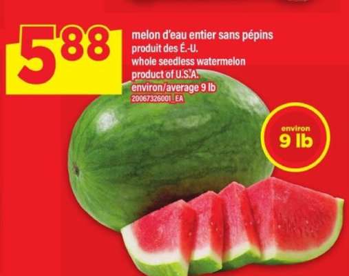 MELON D'EAU ENTIER SANS PÉPINS