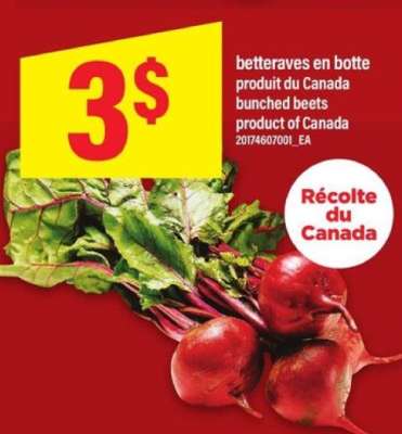 betteraves en botte