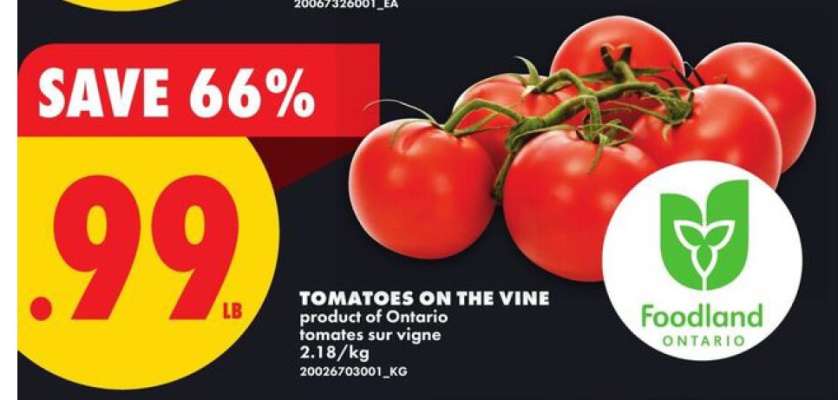 TOMATOES ON THE VINE