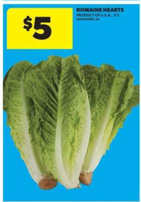 ROMAINE HEARTS