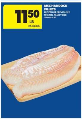 MSC Haddock Fillets