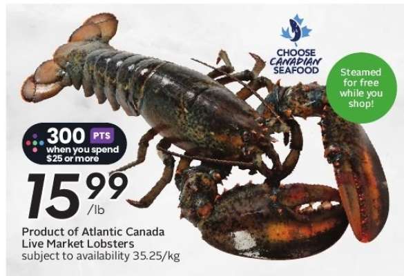 Atlantic Canada Live Market Lobsters