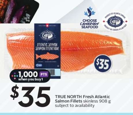 TRUE NORTH Fresh Atlantic Salmon Fillets