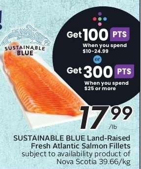 SUSTAINABLE BLUE Land Raised Fresh Atlantic Salmon Fillets