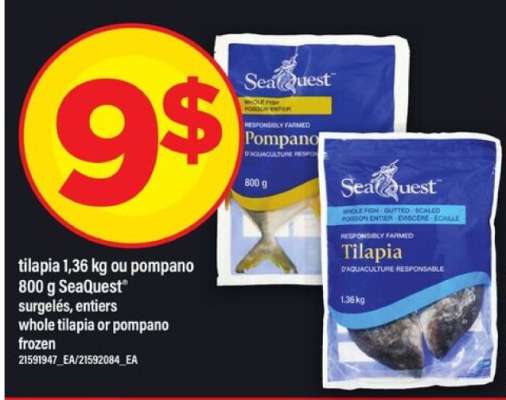 SeaQuest Tilapia or Pompano