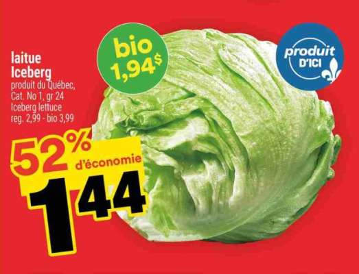 laitue Iceberg