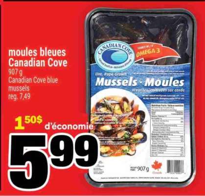 MOULES BLEUES CANADIAN COVE