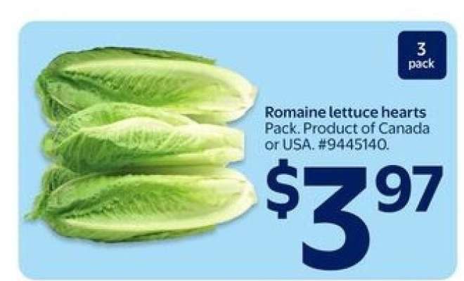 Romaine Lettuce Hearts