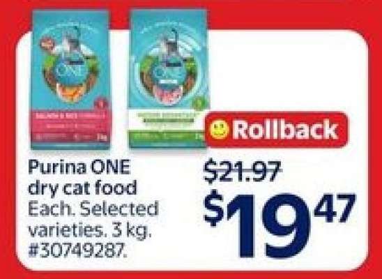 Purina ONE Dry Cat Food