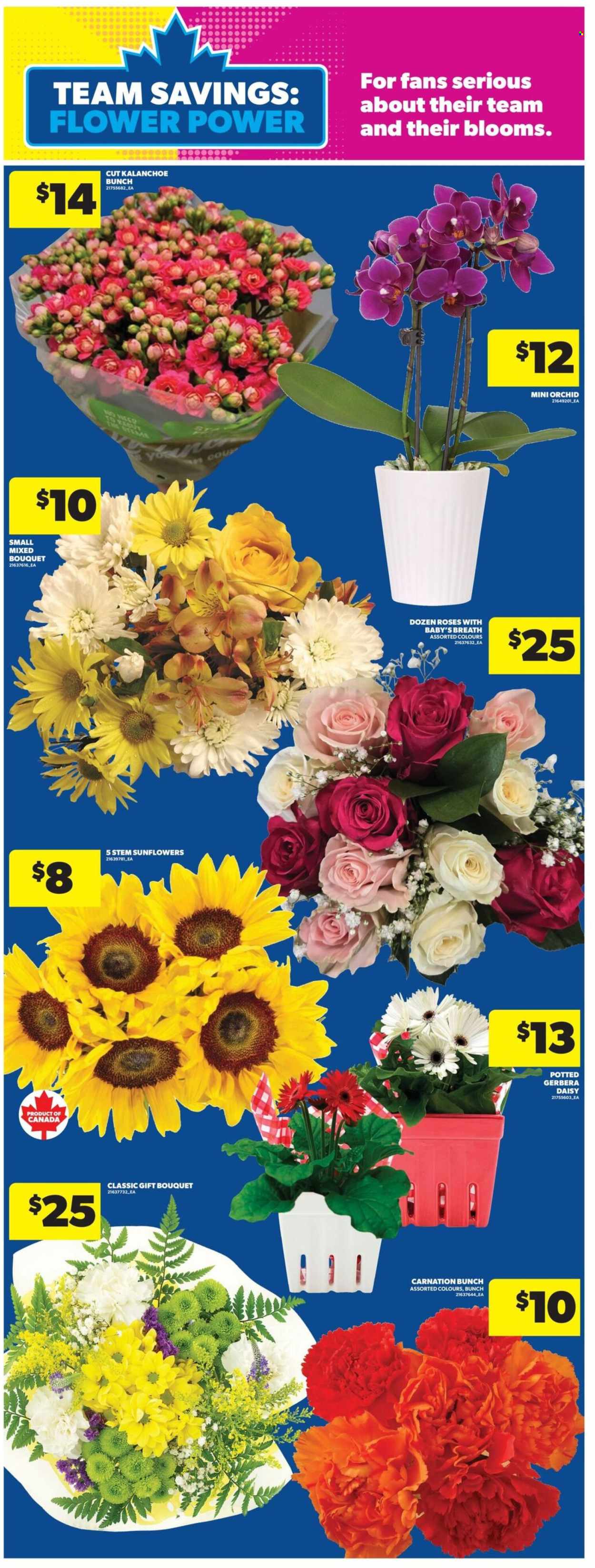 Real Canadian Superstore flyer - July 02, 2026 - July 08, 2026. Page 11