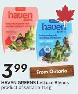 HAVEN GREENS Lettuce Blends