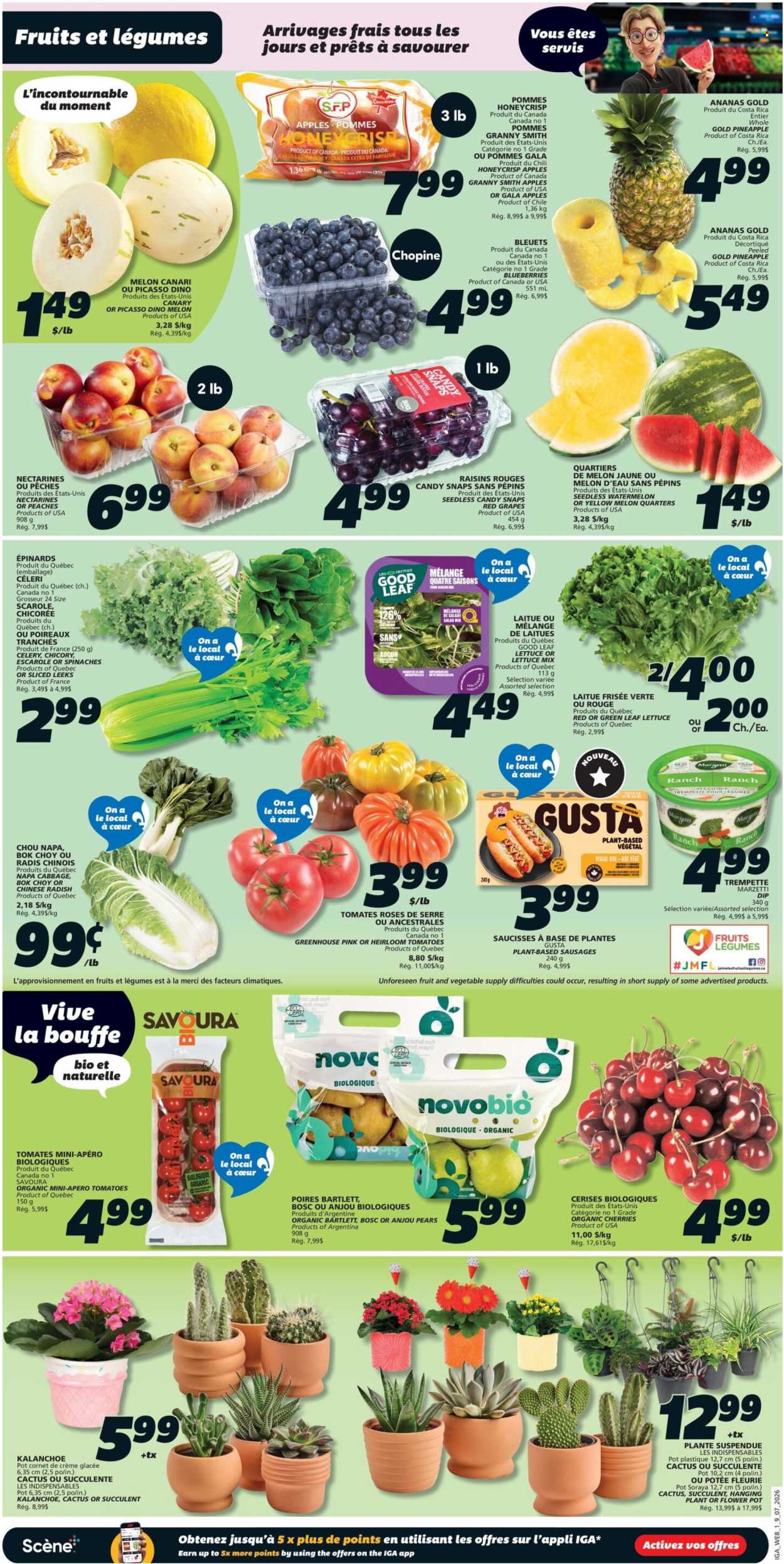 IGA Simple Goodness flyer - July 09, 2026 - July 15, 2026. Page 3