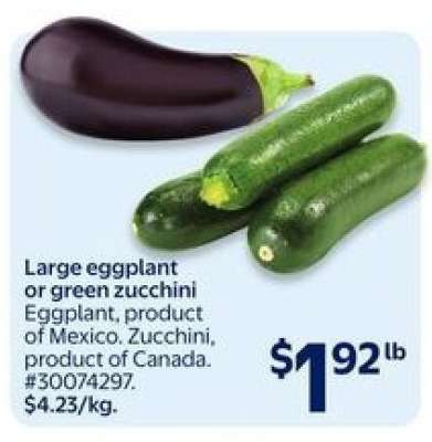 Large Eggplant or Green Zucchini