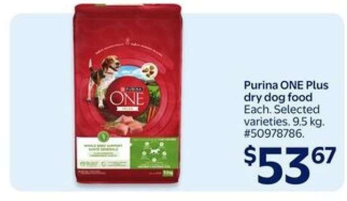 Purina ONE +Plus dry dog food