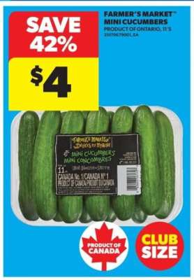 FARMER'S MARKET MINI CUCUMBERS