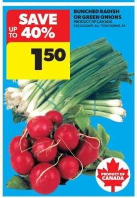 BUNCHED RADISH or GREEN ONIONS