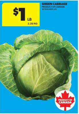 GREEN CABBAGE