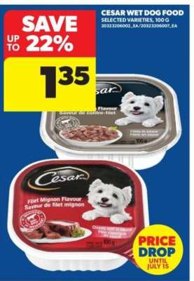 Cesar Wet Dog Food