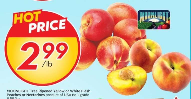 MOONLIGHT Tree Ripened Yellow or White Flesh Peaches or Nectarines
