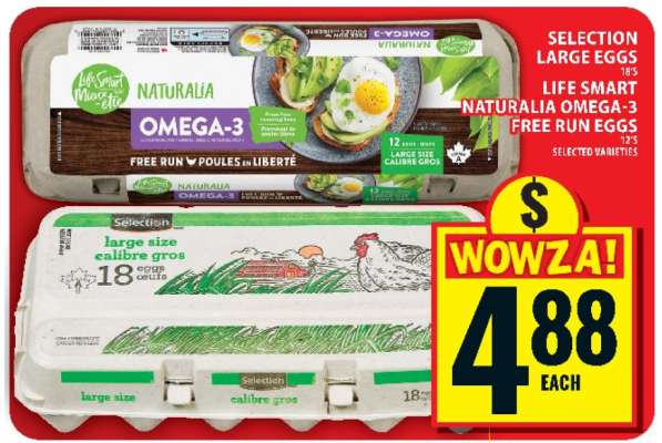 SELECTION LARGE EGGS