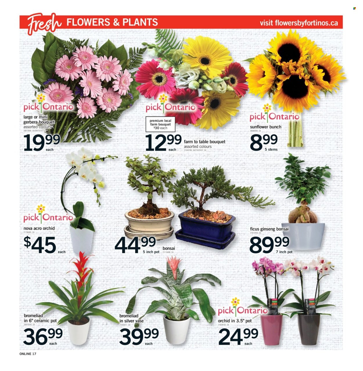 Fortinos flyer - July 09, 2026 - July 15, 2026. Page 17