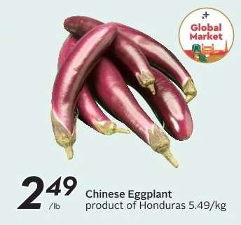 CHINESE EGGPLANT