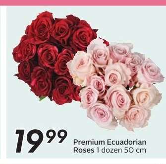 Premium Ecuadorian Roses