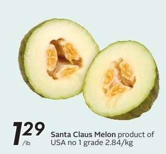 Santa Claus Melon
