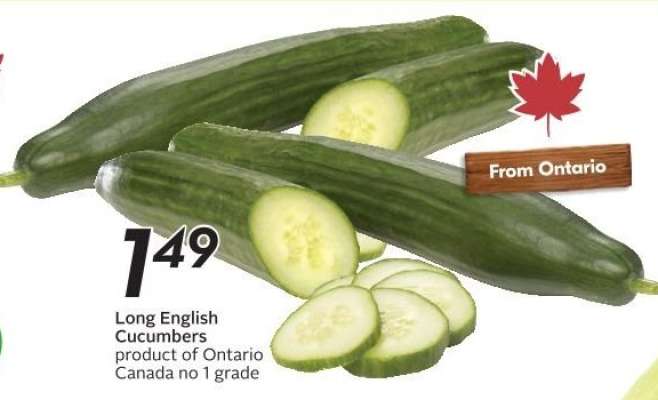 Long English Cucumbers