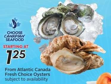 Fresh Choice Oysters