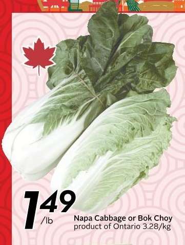NAPA CABBAGE OR BOK CHOY