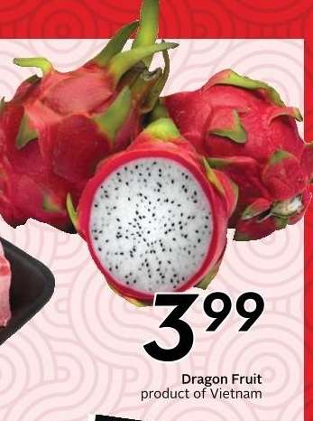 DRAGON FRUIT